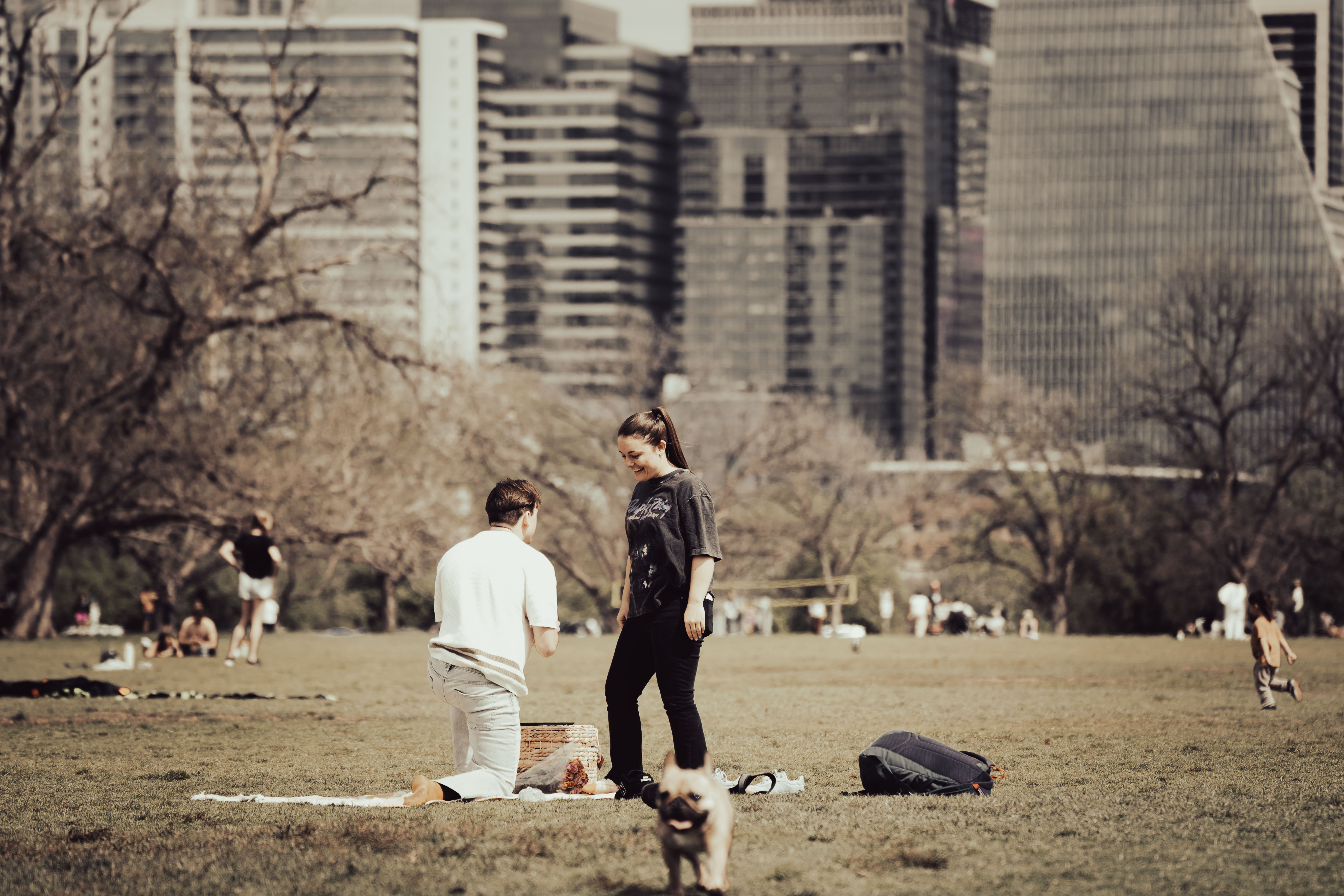 The Proposal